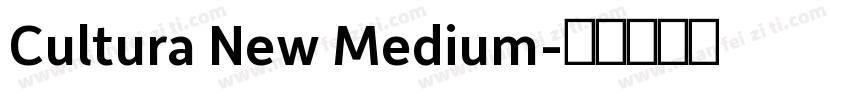 Cultura New Medium字体转换